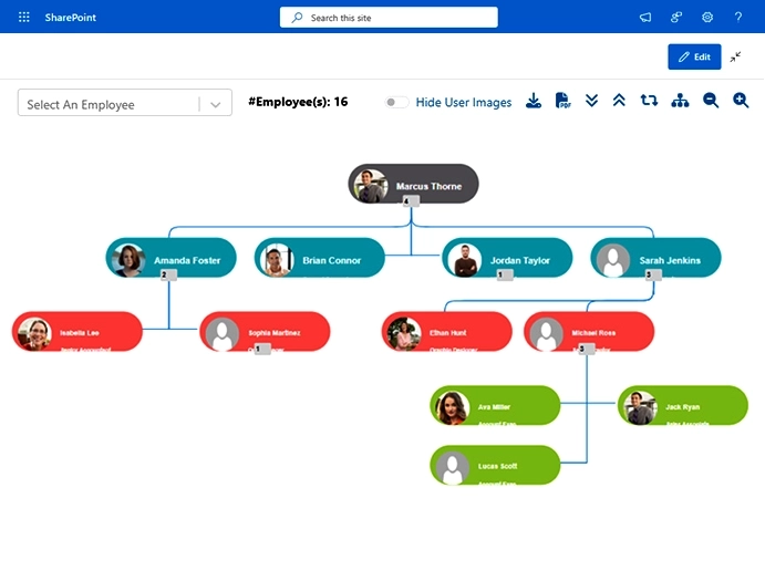 Organizational Chart